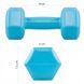 Гантелі Springos Hex 2 x 1 кг FA1030