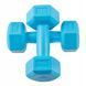 Гантелі Springos Hex 2 x 1 кг FA1030