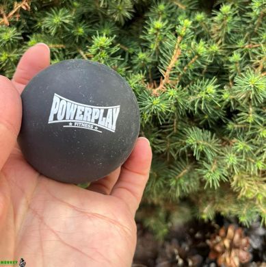 Массажный силиконовый мяч PowerPlay PP-4354 Silicone Lacrosse Ball (6.3см.) Черный