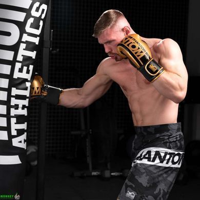 Боксерські рукавиці Phantom APEX Elastic Gold 16 унцій (капа в подарунок)