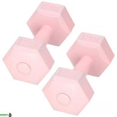 Гантелі Springos Hex 2 x 2 кг FA1063
