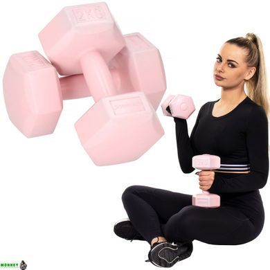 Гантелі Springos Hex 2 x 2 кг FA1063
