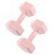 Гантелі Springos Hex 2 x 2 кг FA1063