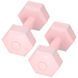 Гантелі Springos Hex 2 x 2 кг FA1063