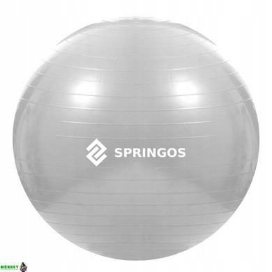 Мяч для фитнеса (фитбол) Springos 75 см Anti-Burst FB0008 Grey