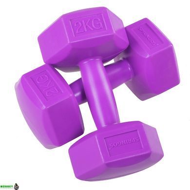 Гантелі Springos Hex 2 x 2 кг FA1032
