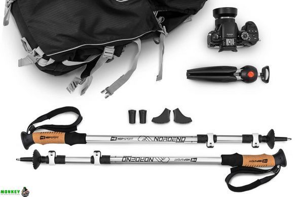 Трекинговые палки Hop-Sport Nordend Pro серебристые