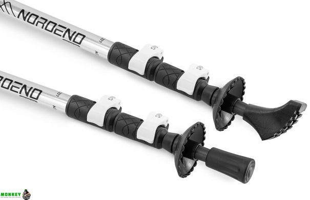 Трекинговые палки Hop-Sport Nordend Pro серебристые