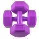Гантелі Springos Hex 2 x 2 кг FA1032