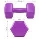 Гантелі Springos Hex 2 x 2 кг FA1032