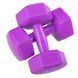 Гантелі Springos Hex 2 x 2 кг FA1032