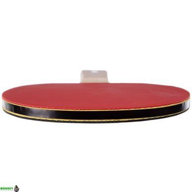 Набор для настольного тенниса DUNLOP DL679332 D TT MATCH 2 PLAYER SET 2 ракетки 3 мяча