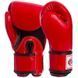 Перчатки боксерские кожаные FAIRTEX BGV1 Черный 10 унции