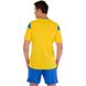 Форма футбольная Joma PHOENIX 102741-907 XS-2XL желтый-синий