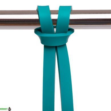 Резинка петля для подтягиваний SP-Sport Fitness LINE FI-9584-1 Бирюзовый 15-25кг бирюзовый
