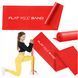 Лента-эспандер для спорта и реабилитации 4FIZJO Flat Band 200 х 15 cм 2-4 кг 4FJ0004