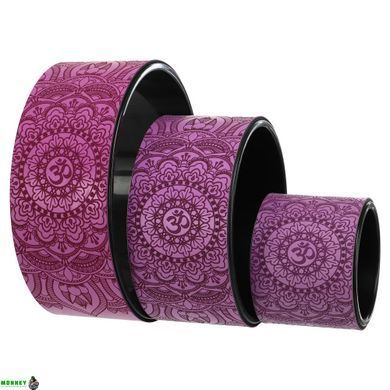 Колесо для йоги набор 3шт SP-Sport Fit Wheel Yoga FI-0086 Черный