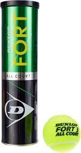 Мячи для тенниса Dunlop Fort TS 4B металл банка 00000019005