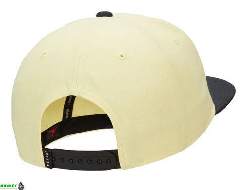 Кепка Nike JORDAN PRO JUMPMAN SNAPBACK бежевый черный Уни MISC