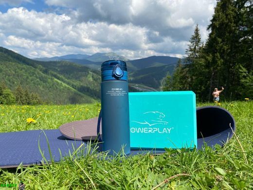 Блок для йоги PowerPlay 4006 Yoga Brick Мятный