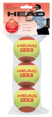 М'ячі для тенісу Head TIP Red 3B