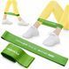 Резинка для фітнесу 4FIZJO Mini Power Band 1 мм 10-15 кг Green (P-5907222931615)