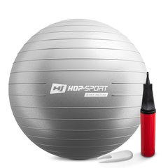 Фитбол Hop-Sport 65 см серебристый + насос 2020