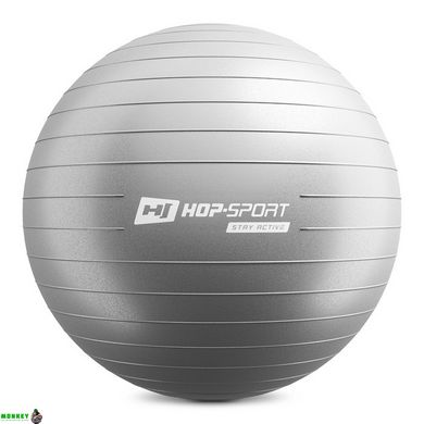 Фитбол Hop-Sport 65 см серебристый + насос 2020