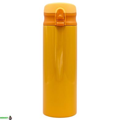 Пляшка термос SANMEGASP-Sport FB-8006 450мл кольору в асортименті