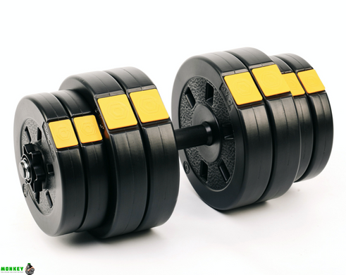Гантели разборные Besport PowerPro 2х31кг
