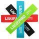 Набір фітнес гумок 4шт LivePro RESISTANCE LOOPS BANDS