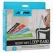 Набір фітнес гумок 4шт LivePro RESISTANCE LOOPS BANDS