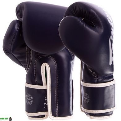 Рукавички боксерські FAIRTEX BGV14 Синій 14 унції