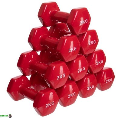 Гантель для фитнеса с виниловым покрытием Zelart TA-2825-2 1шт 2кг красный