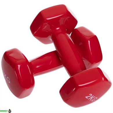 Гантель для фитнеса с виниловым покрытием Zelart TA-2825-2 1шт 2кг красный