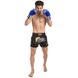 Шорты для тайского бокса и кикбоксинга FAIRTEX BS1708 M-XL черный