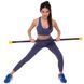 Палка гимнастическая Бодибар Body Bar Zelart FI-1251-5 вес 5кг