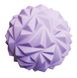 М'яч масажний Sveltus 9 см Фіолетовий (SLTS-0474)