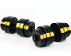 Набір Besport PowerPro гантелі 2х31кг з лавою WB-002