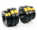 Набір Besport PowerPro гантелі 2х31кг з лавою WB-002