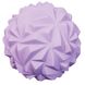М'яч масажний Sveltus 9 см Фіолетовий (SLTS-0474)